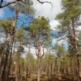 Palaisten uimaranta, toinen lähtöpiste